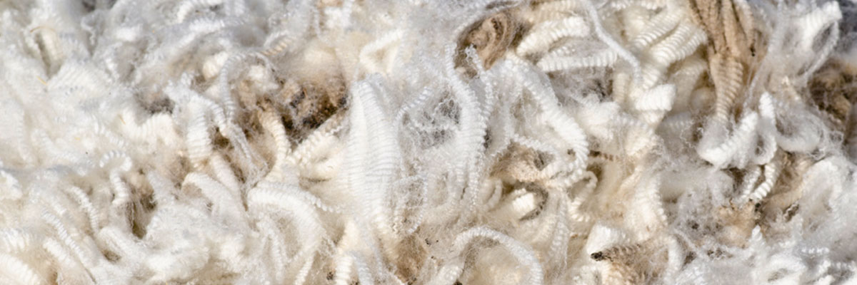 What are the different types of wool?